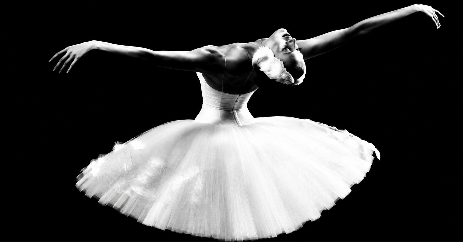 White feathers and movement
